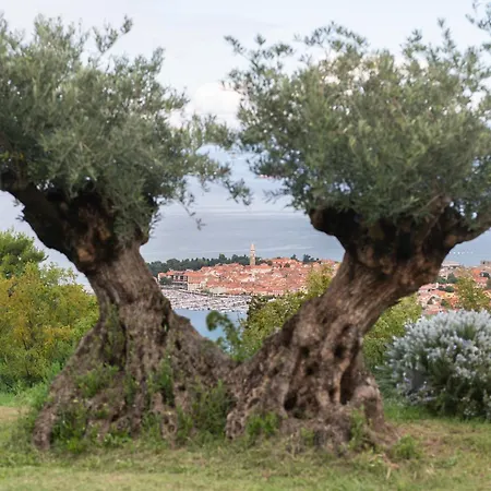 Villa Villa Izola Izola