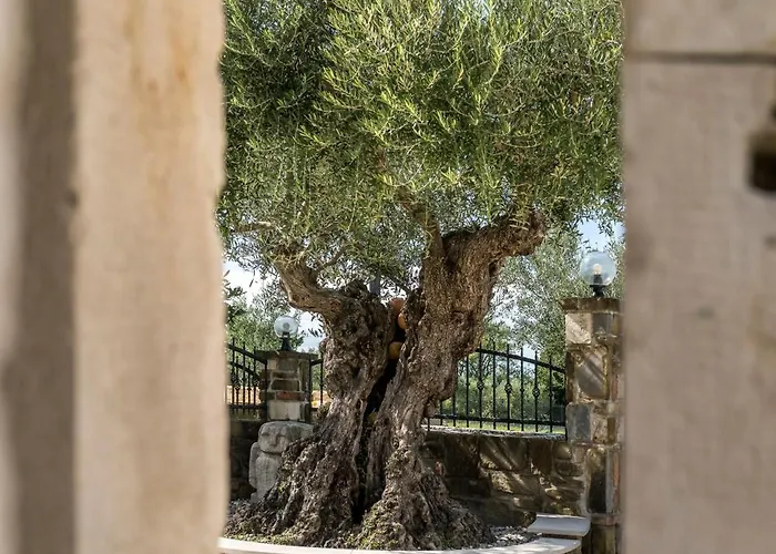 Villa Izola ヴィラ